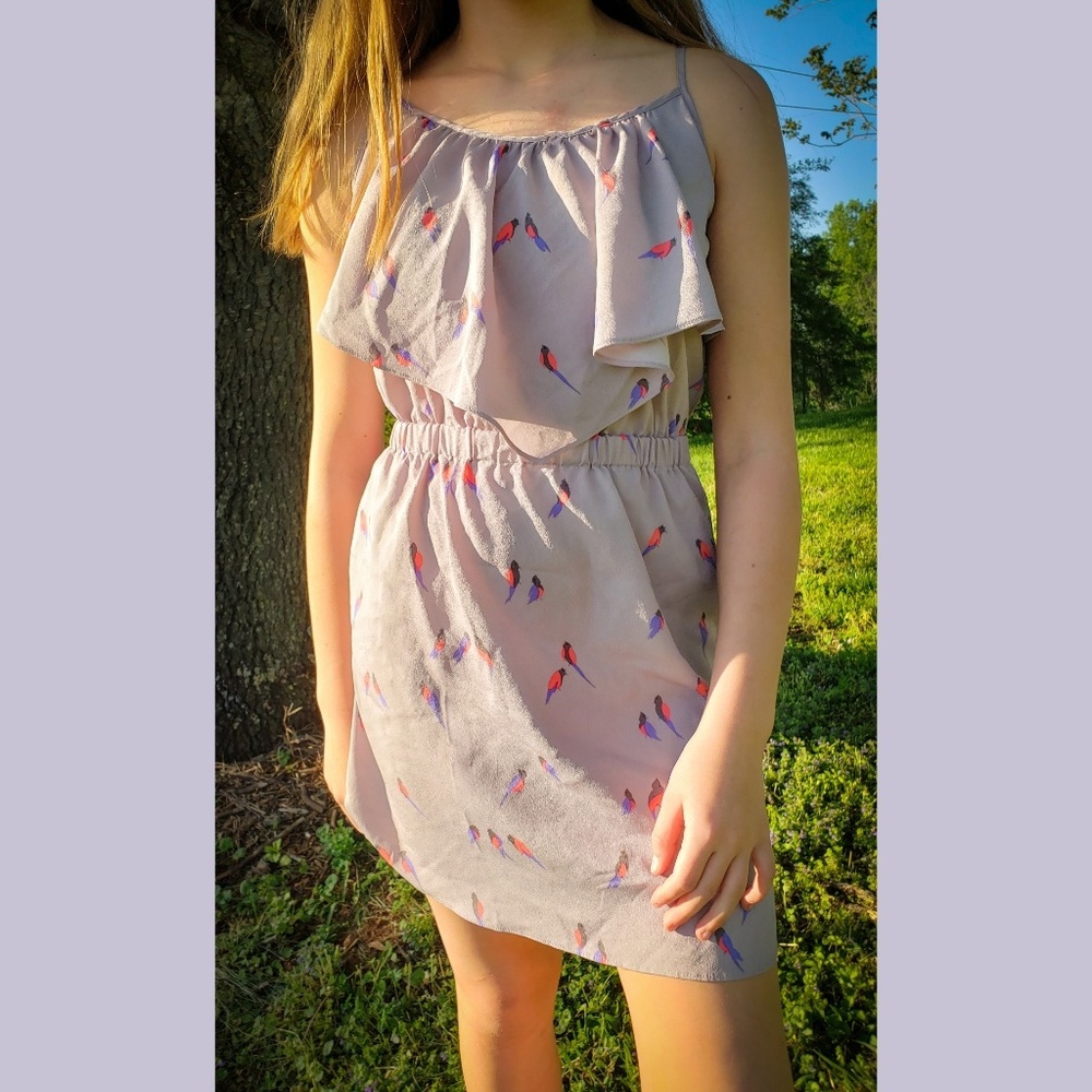 American Eagle Dress Size XS